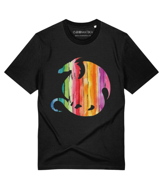 Dragon Spirit Rainbow Flight